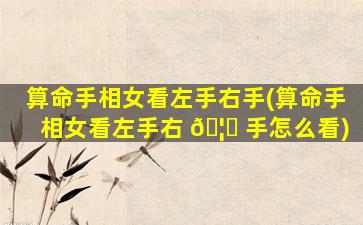 算命手相女看左手右手(算命手相女看左手右 🦁 手怎么看)